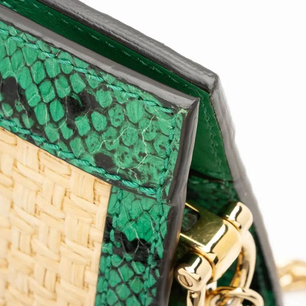 Gucci Raffia Python Ophidia Medium Chain Shoulder Bag - Picture 11 of 13